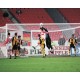 Plasa pentru poarta de fotbal verde 7.5m x 2.5m - fir 4mm -1073-01